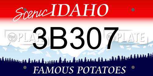 3B307 Idaho License Plate