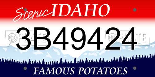 3B49424 Idaho License Plate