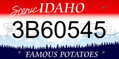 3B60545 Idaho License Plate