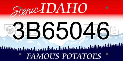 3B65046 Idaho License Plate