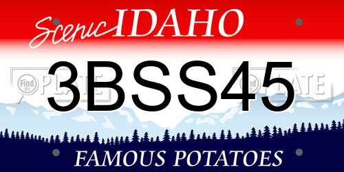 3BSS45 Idaho License Plate
