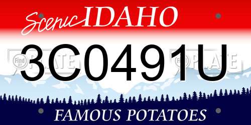 3C0491U Idaho License Plate