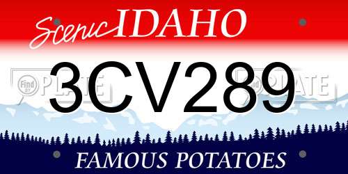 3CV289 Idaho License Plate