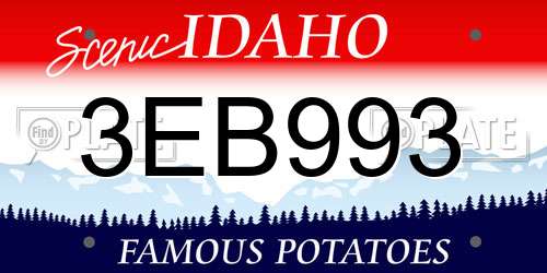 3EB993 Idaho License Plate