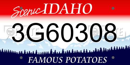 3G60308 Idaho License Plate