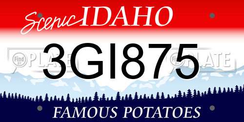 3GI875 Idaho License Plate