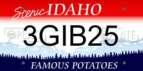 3GIB25 Idaho License Plate