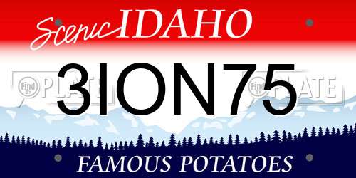 3ION75 Idaho License Plate