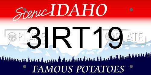 3IRT19 Idaho License Plate