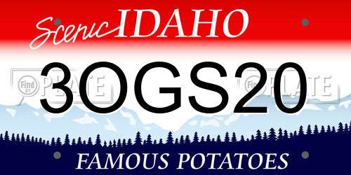 3OGS20 Idaho License Plate