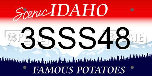 3SSS48 Idaho License Plate