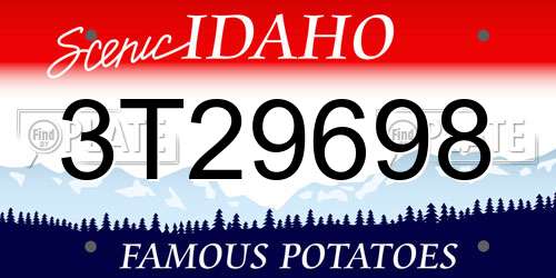 3T29698 Idaho License Plate