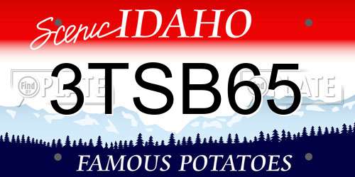 3TSB65 Idaho License Plate