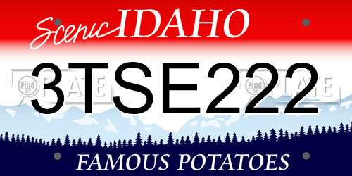3TSE222 Idaho License Plate