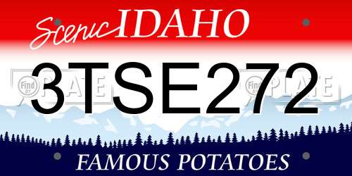 3TSE272 Idaho License Plate