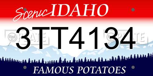 3TT4134 Idaho License Plate