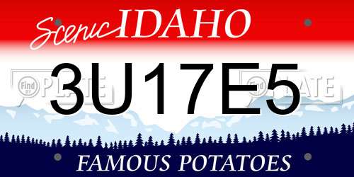 3U17E5 Idaho License Plate