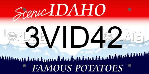 3VID42 Idaho License Plate