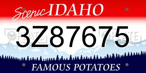 3Z87675 Idaho License Plate