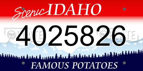 4025826 Idaho License Plate