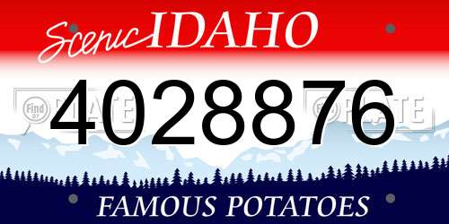 4028876 Idaho License Plate