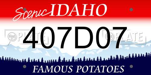 407D07 Idaho License Plate