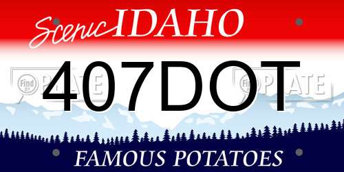 407DOT Idaho License Plate