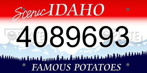 4089693 Idaho License Plate