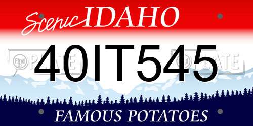 40IT545 Idaho License Plate
