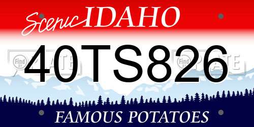40TS826 Idaho License Plate