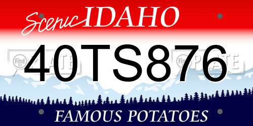 40TS876 Idaho License Plate