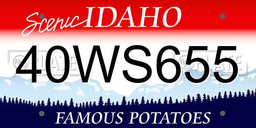 40WS655 Idaho License Plate