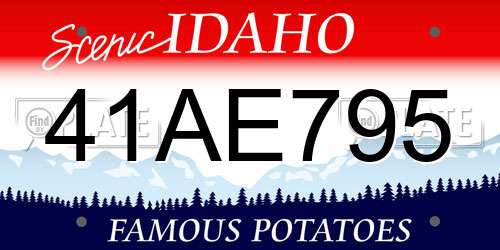 41AE795 Idaho License Plate