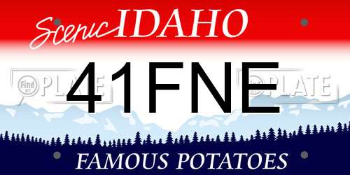 41FNE Idaho License Plate