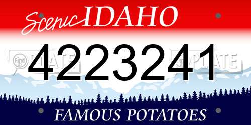 4223241 Idaho License Plate