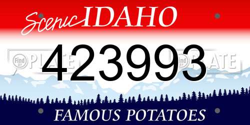 423993 Idaho License Plate