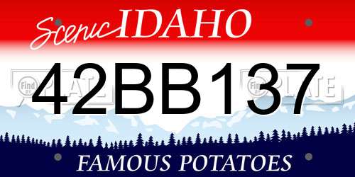 42BB137 Idaho License Plate