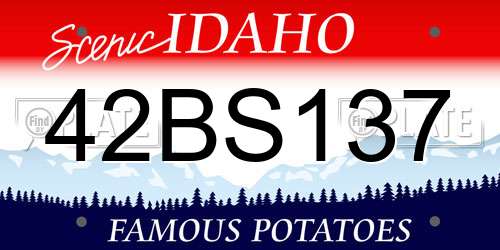 42BS137 Idaho License Plate