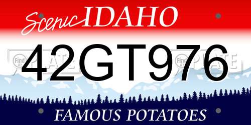 42GT976 Idaho License Plate