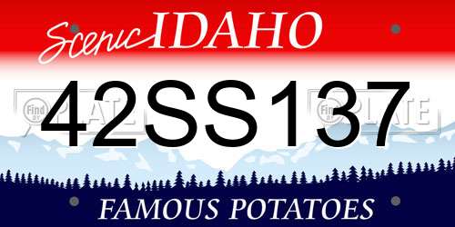 42SS137 Idaho License Plate