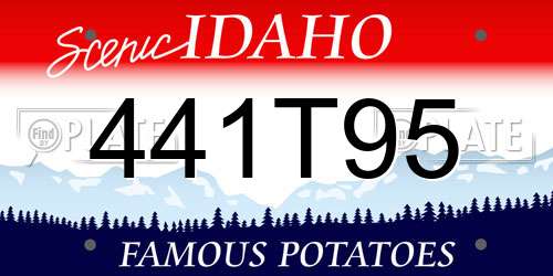 441T95 Idaho License Plate