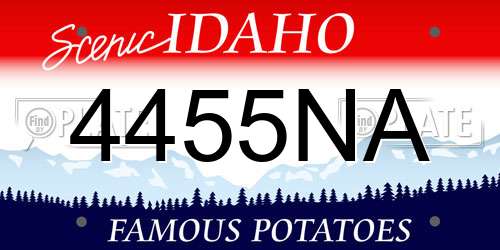 4455NA Idaho License Plate