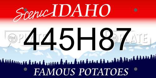 445H87 Idaho License Plate