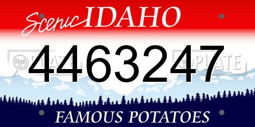 4463247 Idaho License Plate