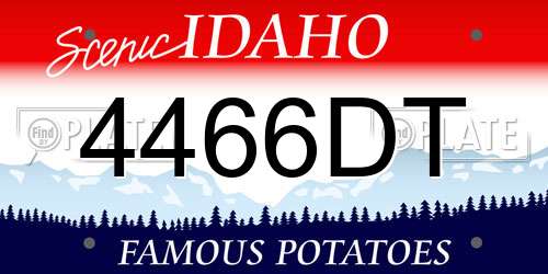 4466DT Idaho License Plate