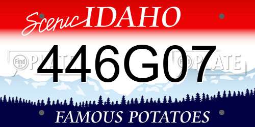 446G07 Idaho License Plate