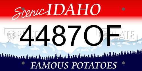 4487OF Idaho License Plate