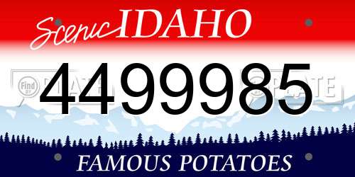 4499985 Idaho License Plate
