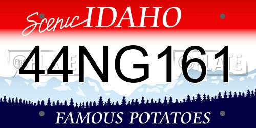44NG161 Idaho License Plate