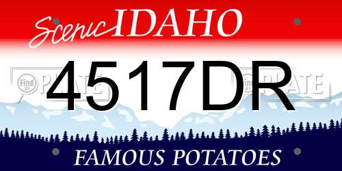 4517DR Idaho License Plate